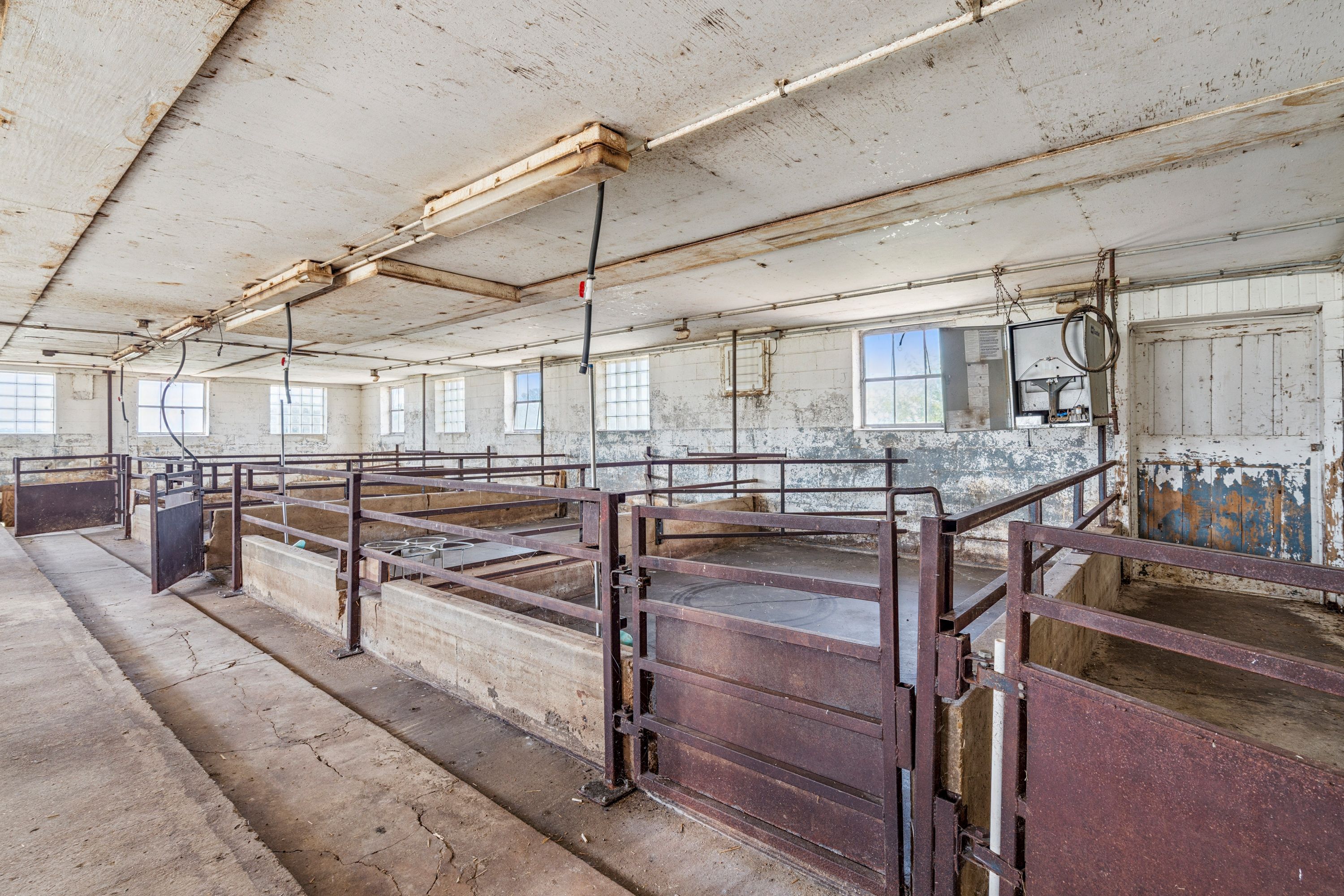 Listing Photo: 8707 & 8713 Riverside Road Farm (43)